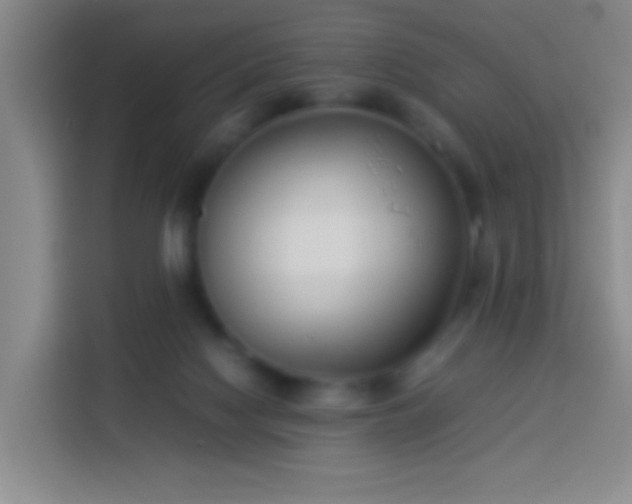 X0000113890074200910011331