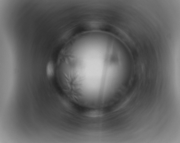 X0000113890075200910011331