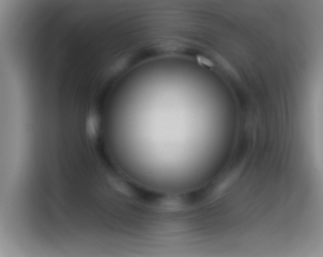 X0000113890076200910011331