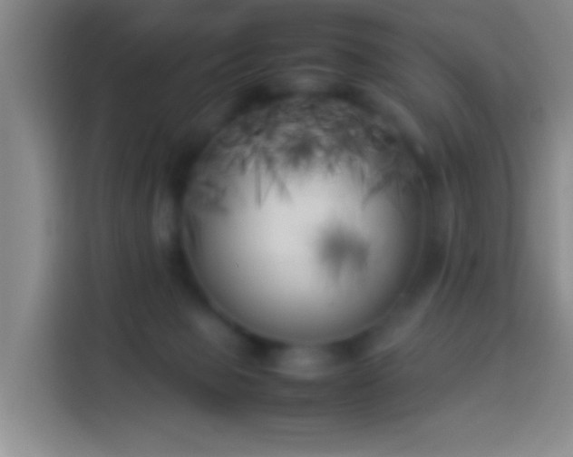X0000113890077200910011331