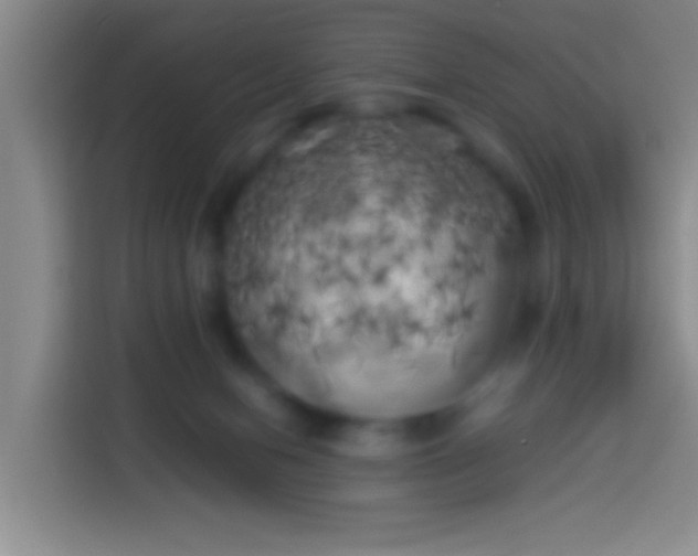 X0000113890078200910011331