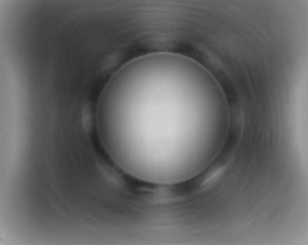 X0000113890080200910011331