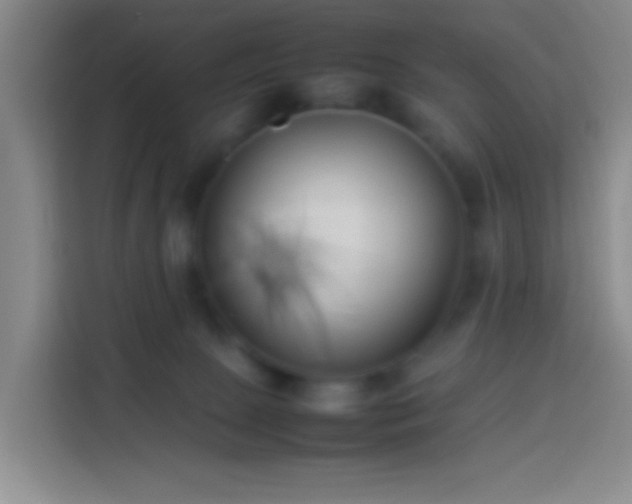 X0000113890081200910011331