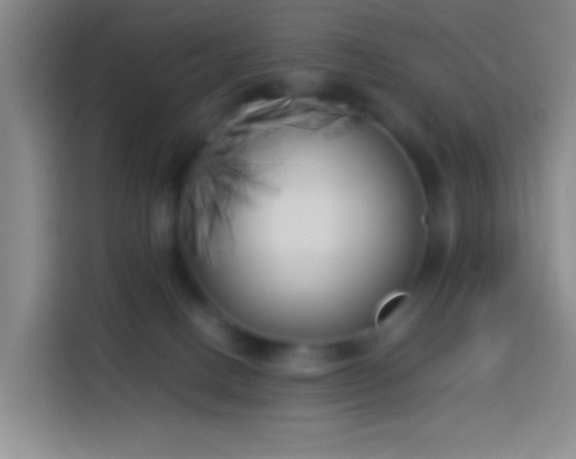 X0000113890082200910011331