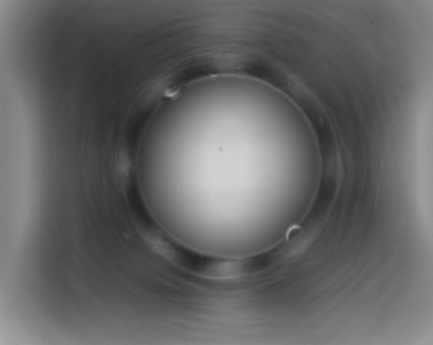 X0000113890084200910011331