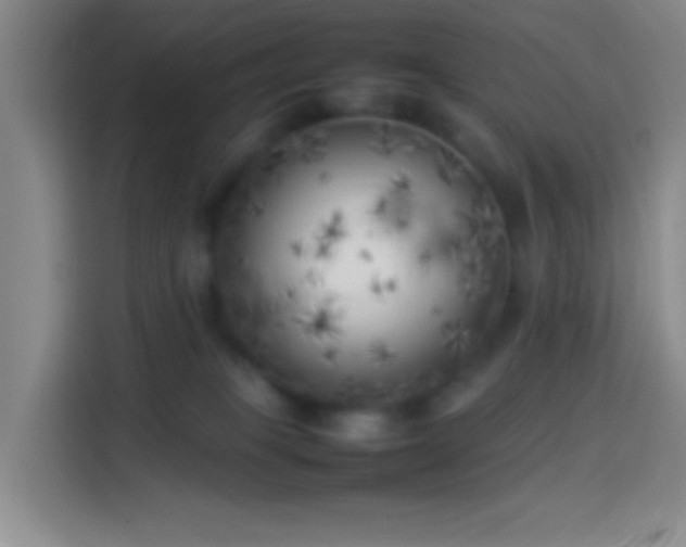 X0000113890085200910011331