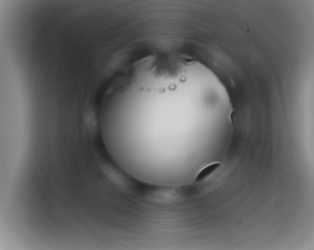 X0000113890086200910011331