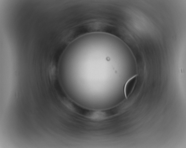 X0000113890087200910011331