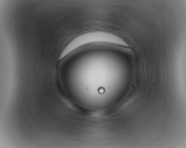 X0000113890088200910011331