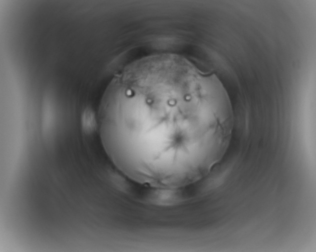 X0000113890089200910011331