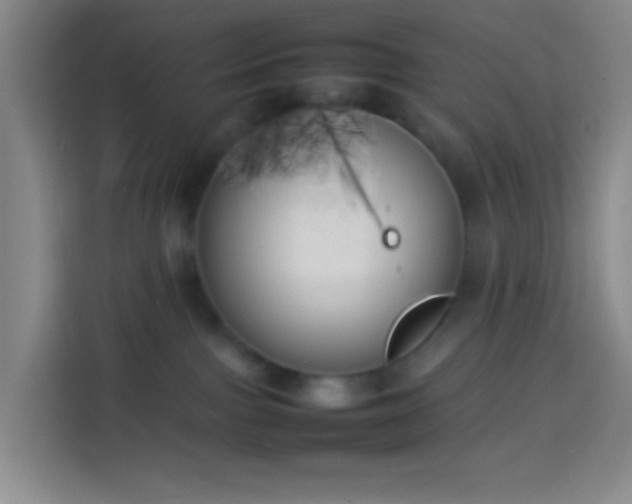 X0000113890091200910011331