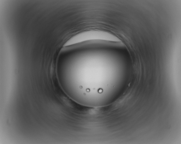 X0000113890092200910011331