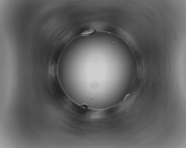 X0000113890093200910011331