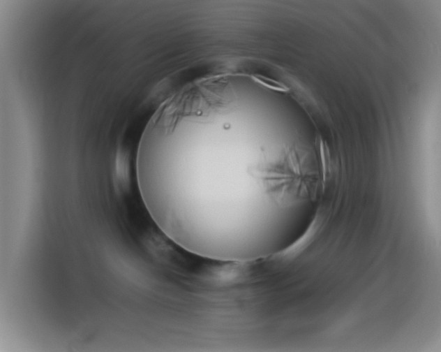 X0000113890094200910011331