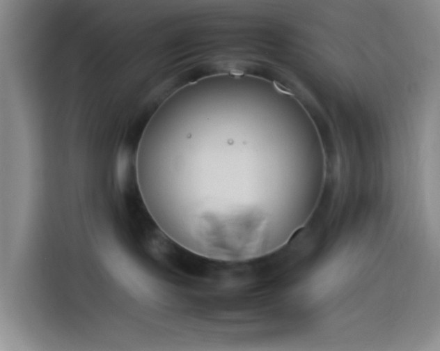 X0000113890095200910011331