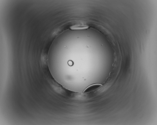 X0000113890096200910011331