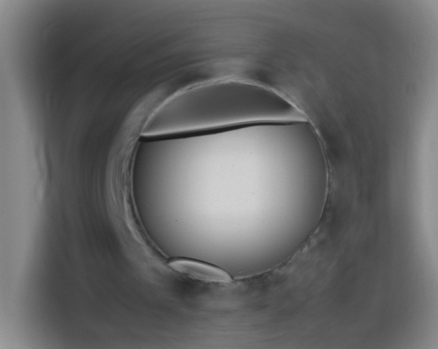 X0000113890097200910011330