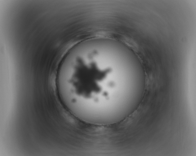 X0000113890098200910011330