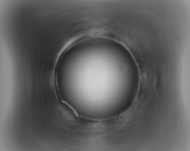 X0000113890100200910011330