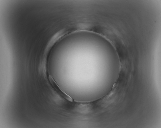 X0000113890101200910011330