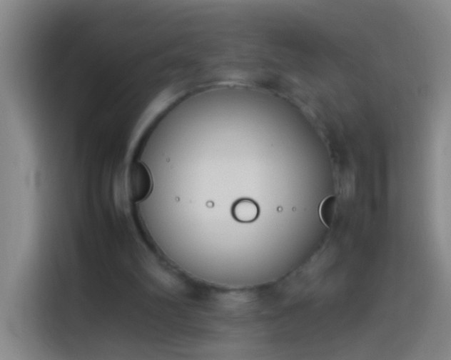 X0000113890102200910011330