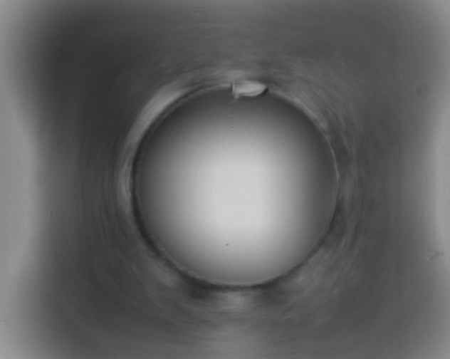 X0000113890103200910011330