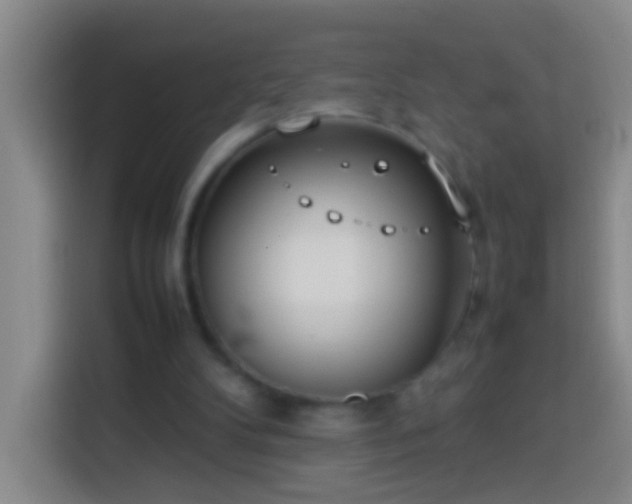 X0000113890104200910011330