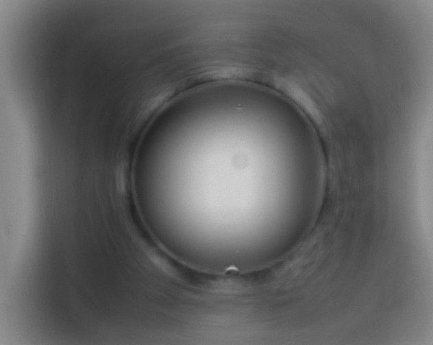 X0000113890105200910011330