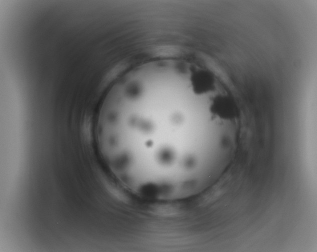 X0000113890106200910011330