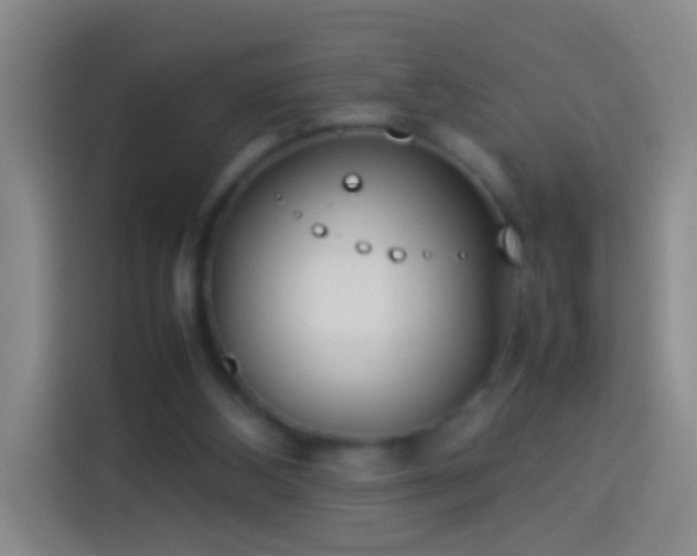 X0000113890108200910011330