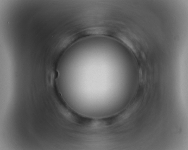 X0000113890109200910011330