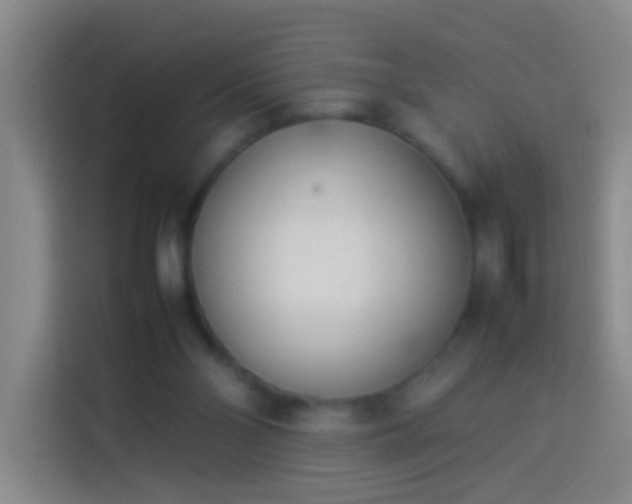 X0000113890110200910011330