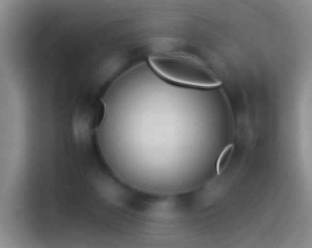 X0000113890116200910011330