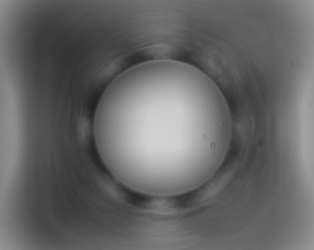 X0000113890117200910011330