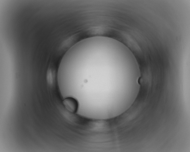 X0000113890118200910011330