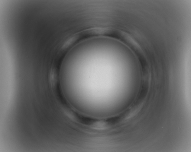 X0000113890119200910011330