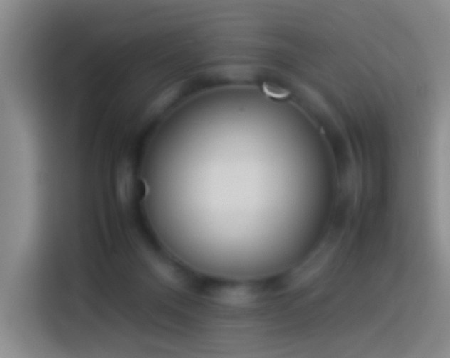 X0000113890120200910011330