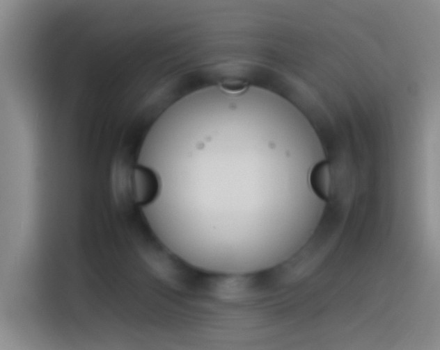 X0000113890122200910011330