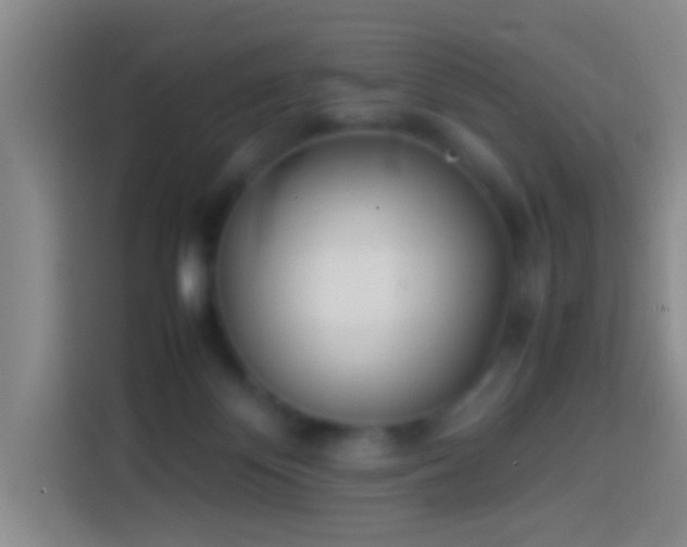 X0000113890124200910011330