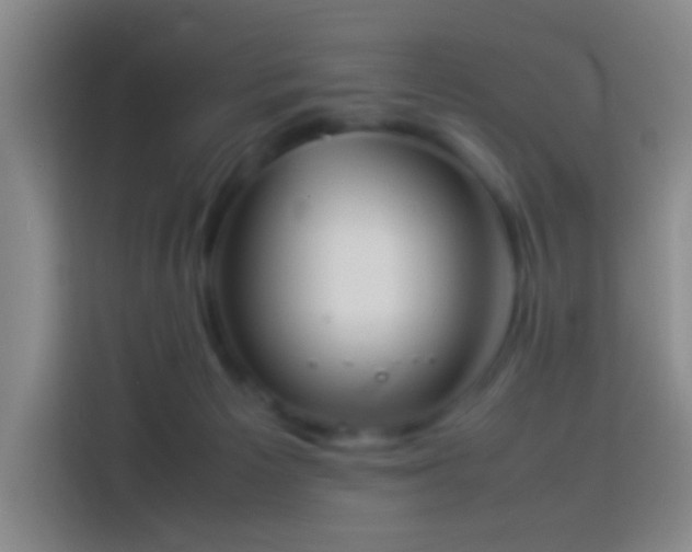 X0000113890125200910011330