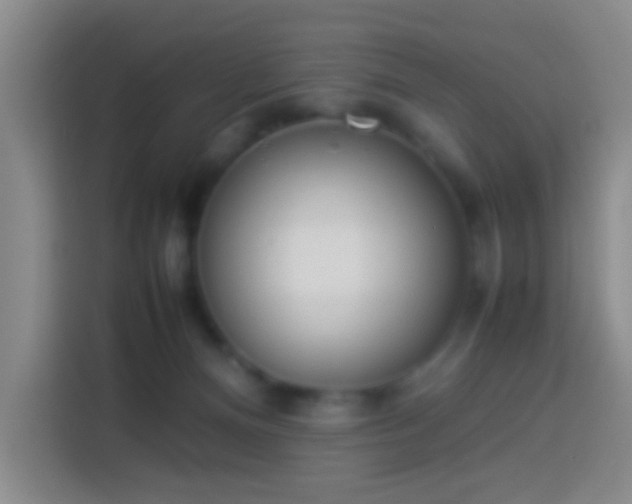 X0000113890128200910011330