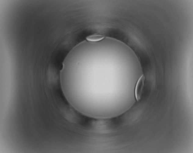 X0000113890129200910011330