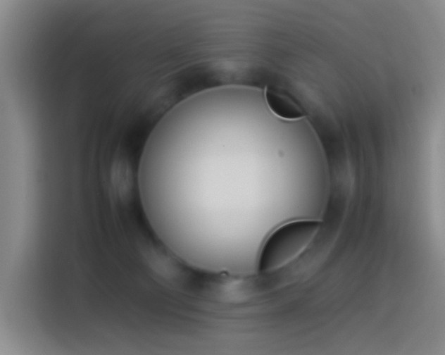 X0000113890130200910011330