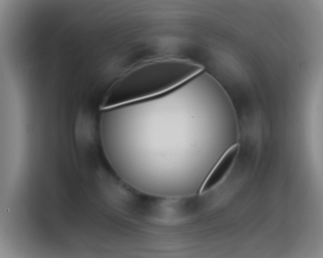 X0000113890136200910011330