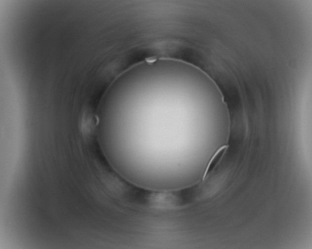 X0000113890137200910011330