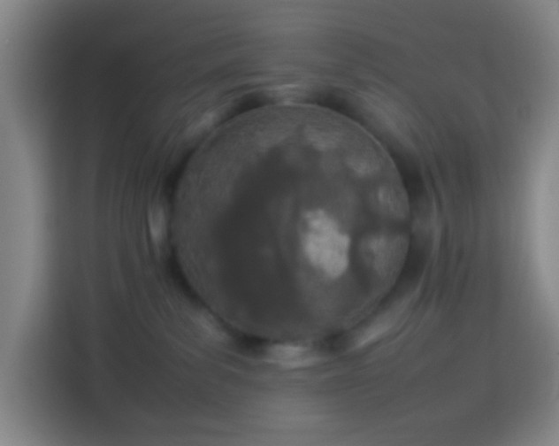 X0000113890139200910011330