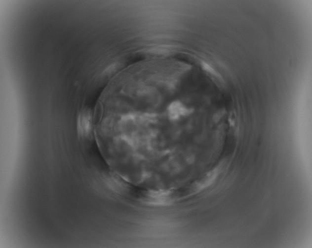 X0000113890143200910011330