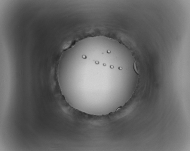 X0000113890144200910011330