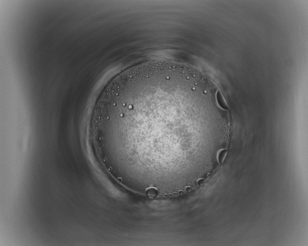 X0000113890145200910011329