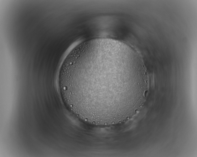 X0000113890147200910011329